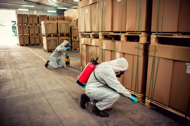 Best Mosquito Control Services  in Rome City, IN