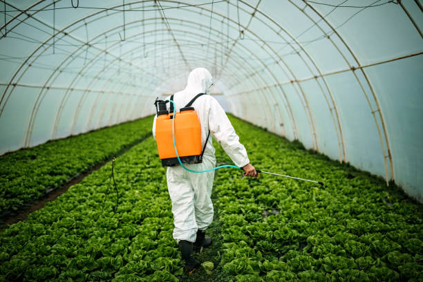Best Pest Control for Businesses  in Rome City, IN
