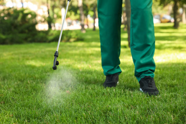 Best Pest Control Cost  in Rome City, IN