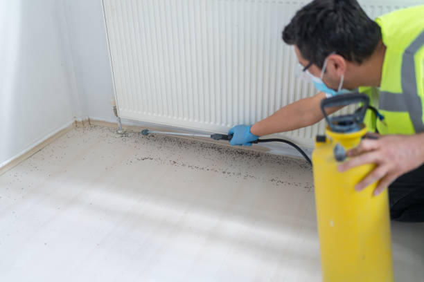 Trusted Rome City, IN Pest Control Experts