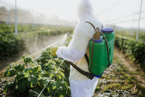 Pest Control Cost in Rome City, IN